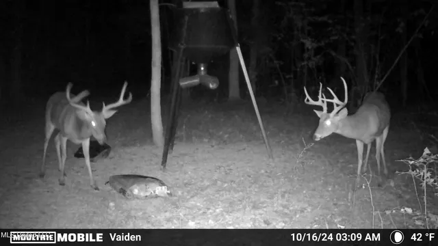 $365,817 | 35 Highway 35, Vaiden, MS 39176