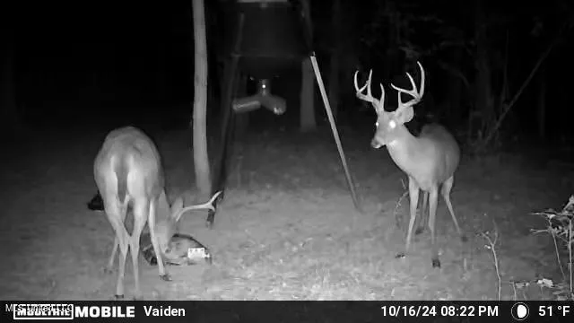 $365,817 | 35 Highway 35, Vaiden, MS 39176