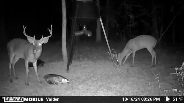 $365,817 | 35 Highway 35, Vaiden, MS 39176