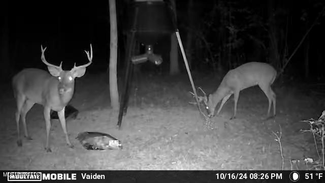 35 Highway 35 Vaiden, MS 39176 - Photo 25 of 88 1203318-20241017060216-100MFCAM_MFDC0410