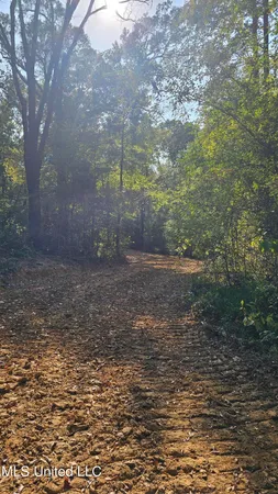 $301,950 | 35 Highway 35, Vaiden, MS 39176