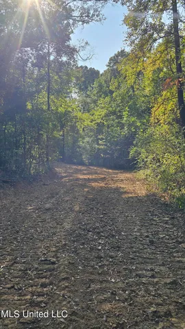 $365,817 | 35 Highway 35, Vaiden, MS 39176