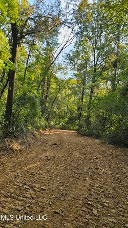 $301,950 | 35 Highway 35, Vaiden, MS 39176