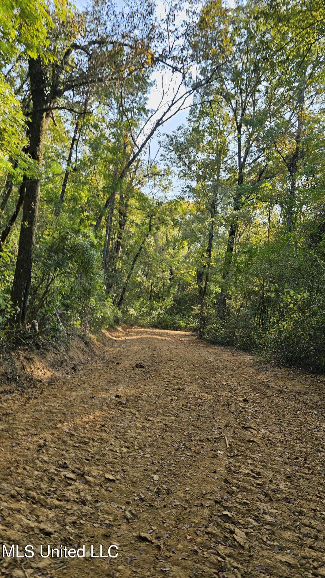 35 Highway 35 Vaiden, MS 39176 - Photo 29 of 88 20241015_145306
