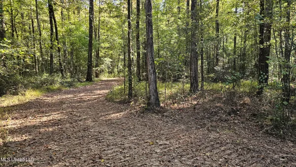 $301,950 | 35 Highway 35, Vaiden, MS 39176