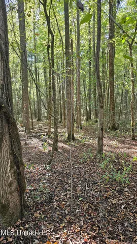 $365,817 | 35 Highway 35, Vaiden, MS 39176