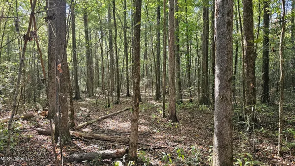 $301,950 | 35 Highway 35, Vaiden, MS 39176