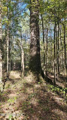 $365,817 | 35 Highway 35, Vaiden, MS 39176