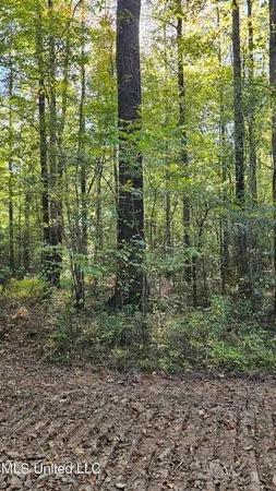 $301,950 | 35 Highway 35, Vaiden, MS 39176