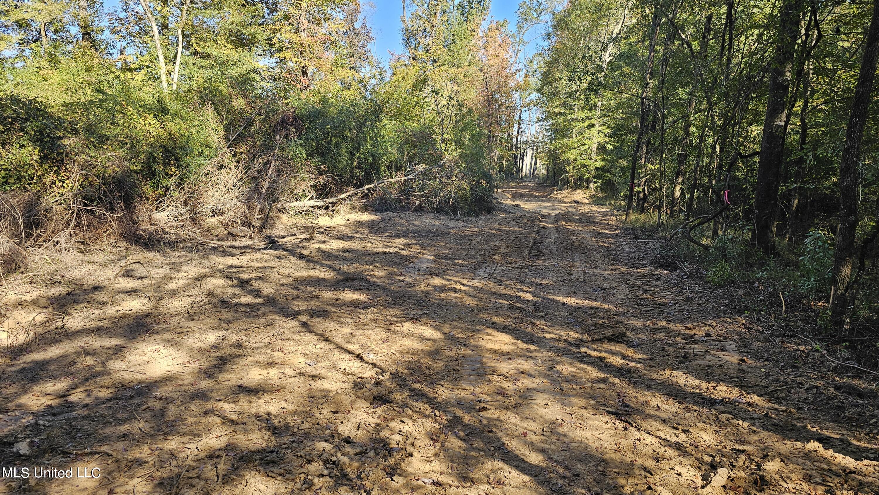 35 Highway 35 Vaiden, MS 39176 - Photo 36 of 88 20241022_152710