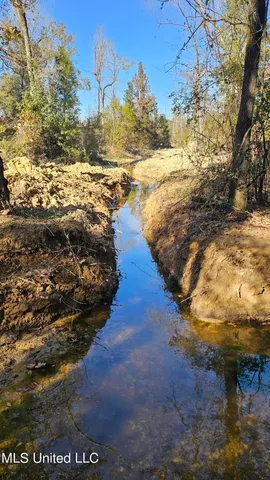 $365,817 | 35 Highway 35, Vaiden, MS 39176