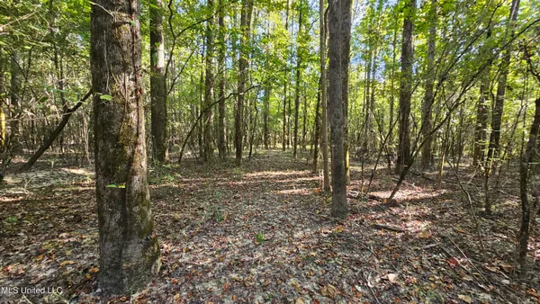 $301,950 | 35 Highway 35, Vaiden, MS 39176