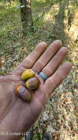 $365,817 | 35 Highway 35, Vaiden, MS 39176