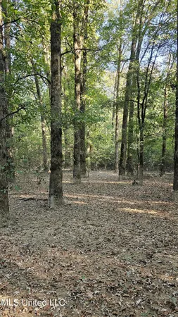 $301,950 | 35 Highway 35, Vaiden, MS 39176