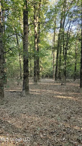 $365,817 | 35 Highway 35, Vaiden, MS 39176