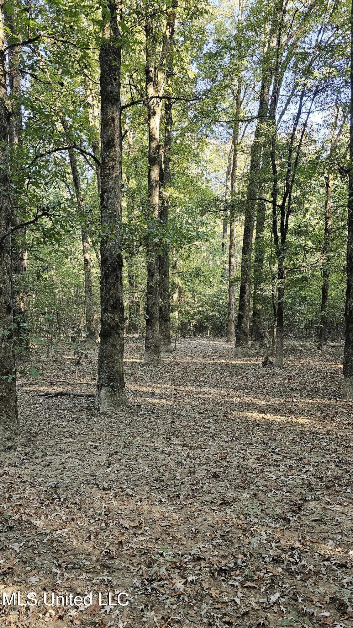 35 Highway 35 Vaiden, MS 39176 - Photo 43 of 88 20241022_161727