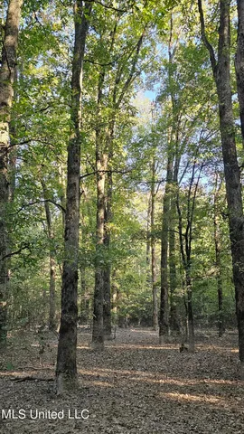 $365,817 | 35 Highway 35, Vaiden, MS 39176