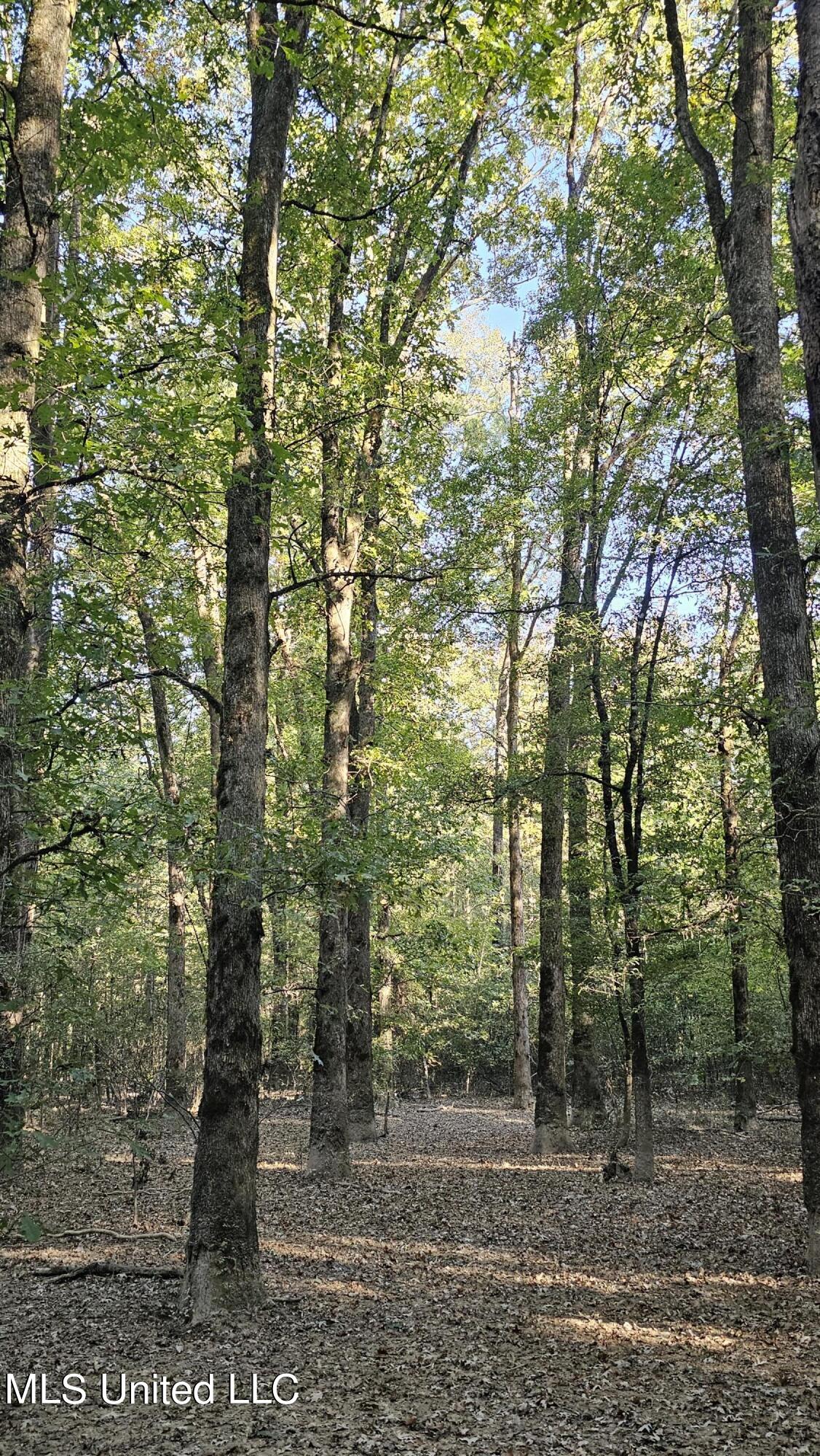 35 Highway 35 Vaiden, MS 39176 - Photo 44 of 88 20241022_161737