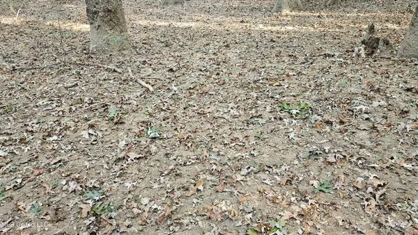 $301,950 | 35 Highway 35, Vaiden, MS 39176