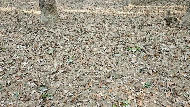 $365,817 | 35 Highway 35, Vaiden, MS 39176