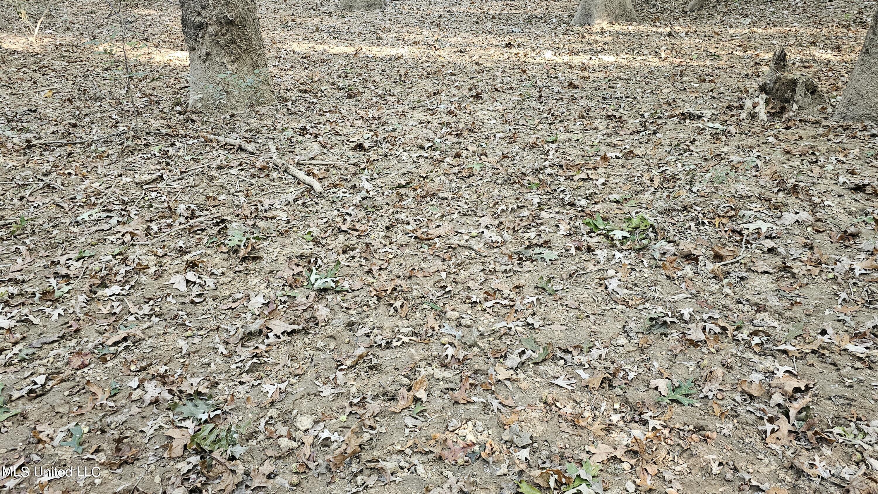 35 Highway 35 Vaiden, MS 39176 - Photo 45 of 88 20241022_161759