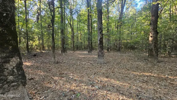 $301,950 | 35 Highway 35, Vaiden, MS 39176