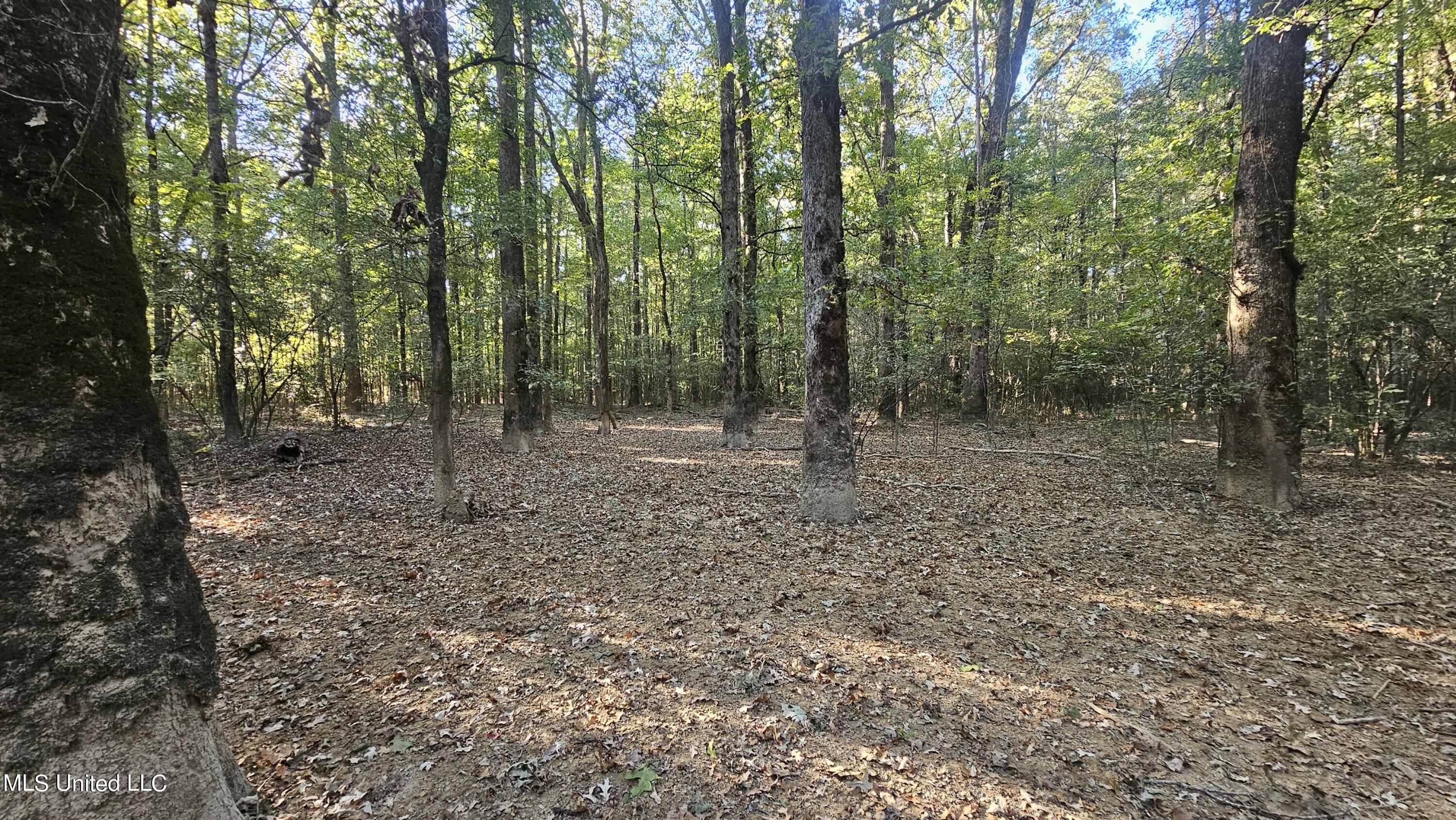 35 Highway 35 Vaiden, MS 39176 - Photo 46 of 88 20241022_161937