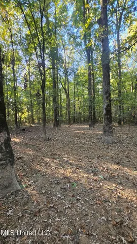 $365,817 | 35 Highway 35, Vaiden, MS 39176