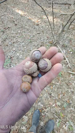 $301,950 | 35 Highway 35, Vaiden, MS 39176