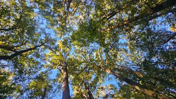 $301,950 | 35 Highway 35, Vaiden, MS 39176