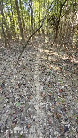 $301,950 | 35 Highway 35, Vaiden, MS 39176