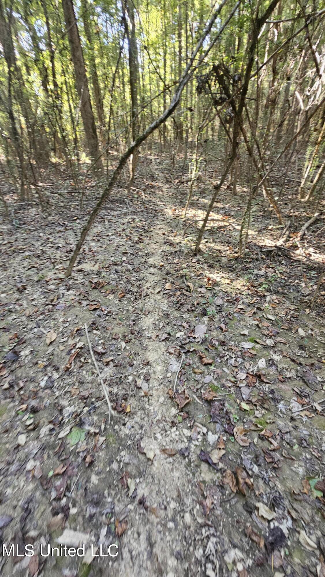 35 Highway 35 Vaiden, MS 39176 - Photo 50 of 88 20241022_162248