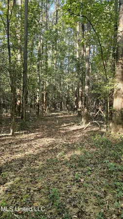 $301,950 | 35 Highway 35, Vaiden, MS 39176