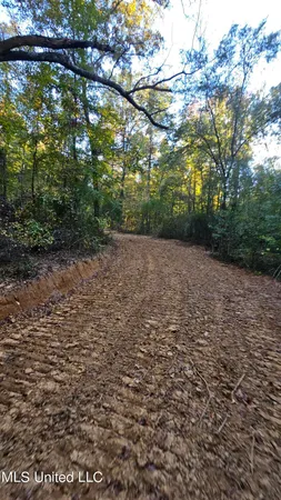 $301,950 | 35 Highway 35, Vaiden, MS 39176