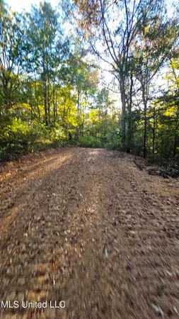 $301,950 | 35 Highway 35, Vaiden, MS 39176