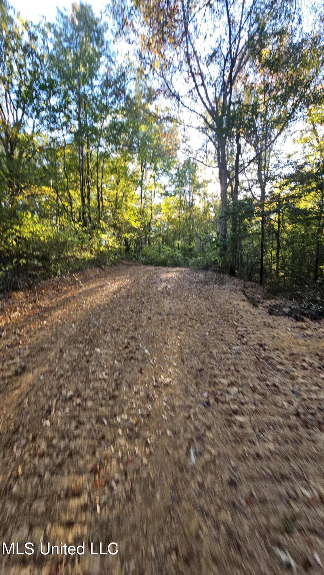35 Highway 35 Vaiden, MS 39176 - Photo 53 of 88 20241022_164554