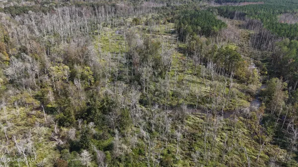 $301,950 | 35 Highway 35, Vaiden, MS 39176