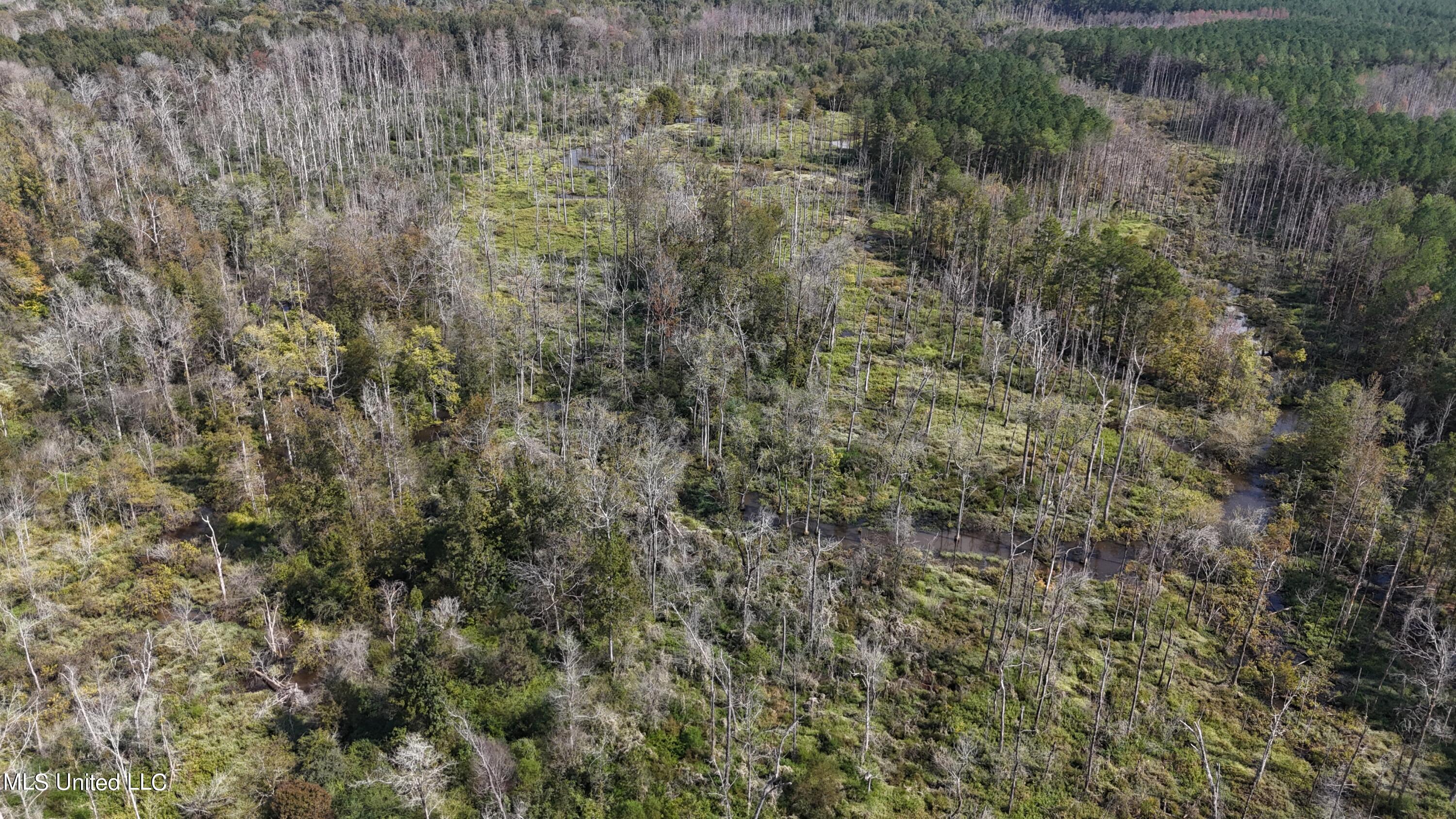 35 Highway 35 Vaiden, MS 39176 - Photo 54 of 88 DJI_20230930142714_0068_D