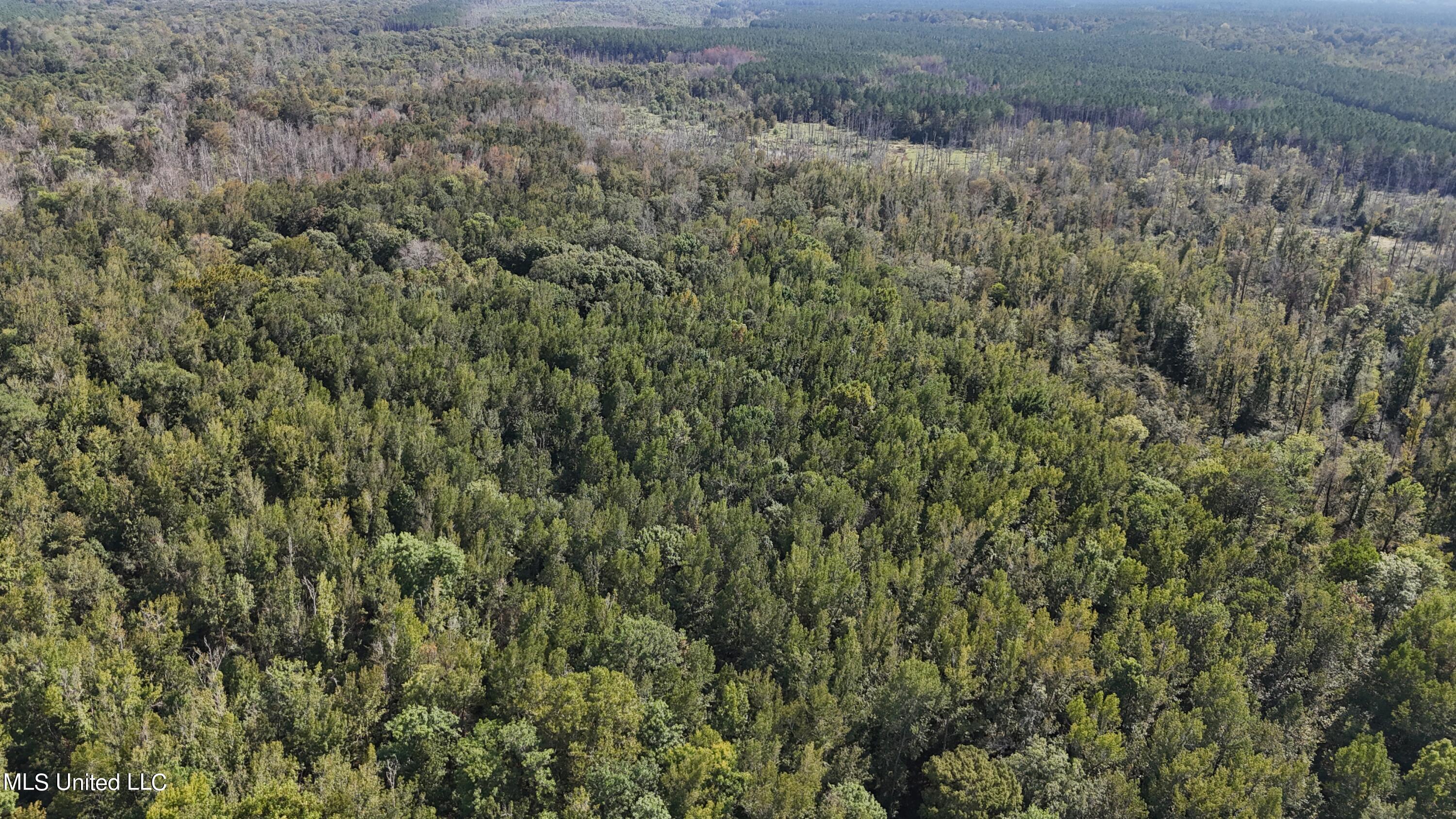 35 Highway 35 Vaiden, MS 39176 - Photo 55 of 88 DJI_20230930143424_0114_D