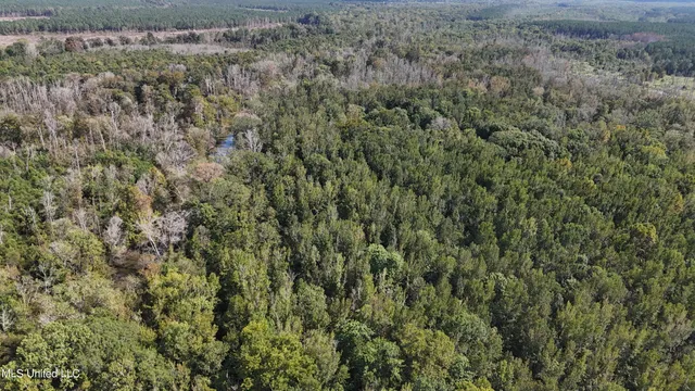 $365,817 | 35 Highway 35, Vaiden, MS 39176