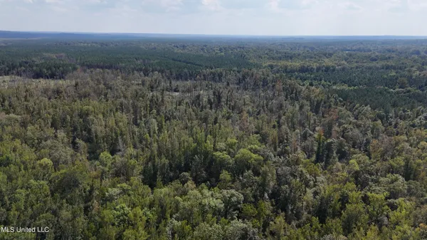 $301,950 | 35 Highway 35, Vaiden, MS 39176