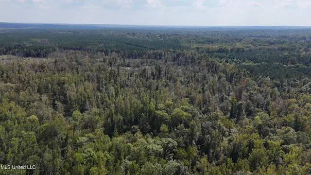 $365,817 | 35 Highway 35, Vaiden, MS 39176