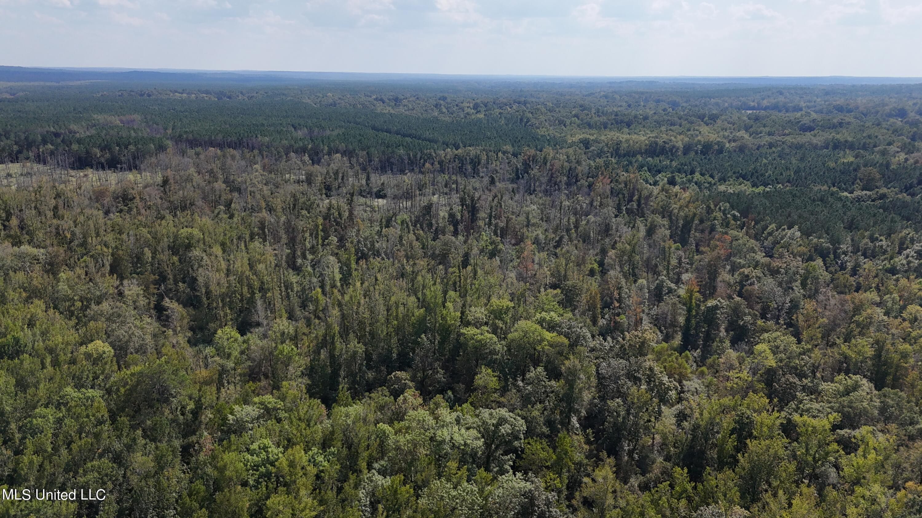 35 Highway 35 Vaiden, MS 39176 - Photo 57 of 88 DJI_20230930143523_0116_D