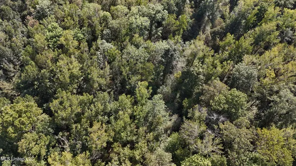 $301,950 | 35 Highway 35, Vaiden, MS 39176