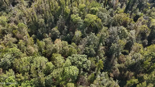 $301,950 | 35 Highway 35, Vaiden, MS 39176