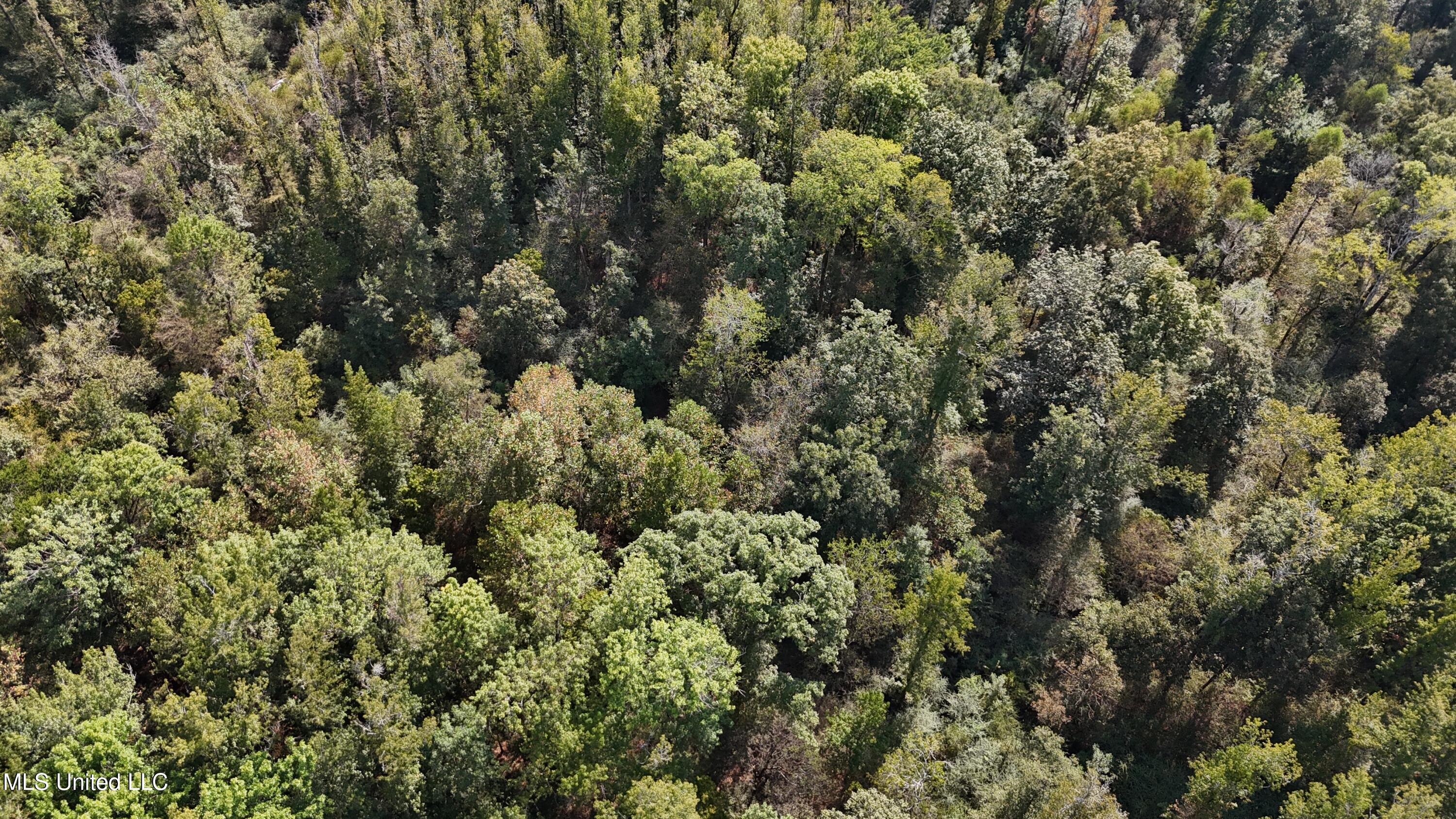 35 Highway 35 Vaiden, MS 39176 - Photo 59 of 88 DJI_20230930143535_0118_D