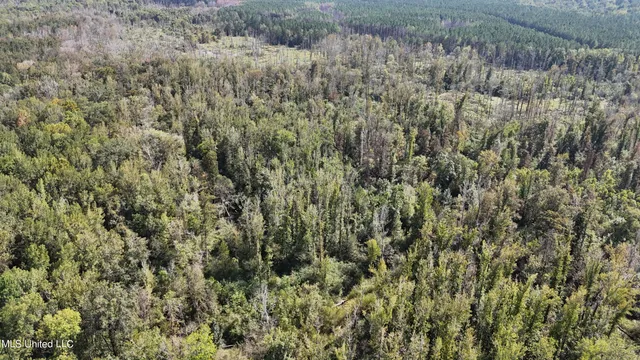 $365,817 | 35 Highway 35, Vaiden, MS 39176