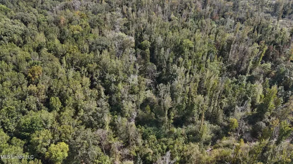 $301,950 | 35 Highway 35, Vaiden, MS 39176