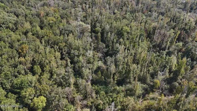 $365,817 | 35 Highway 35, Vaiden, MS 39176