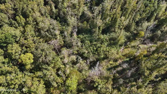 $365,817 | 35 Highway 35, Vaiden, MS 39176